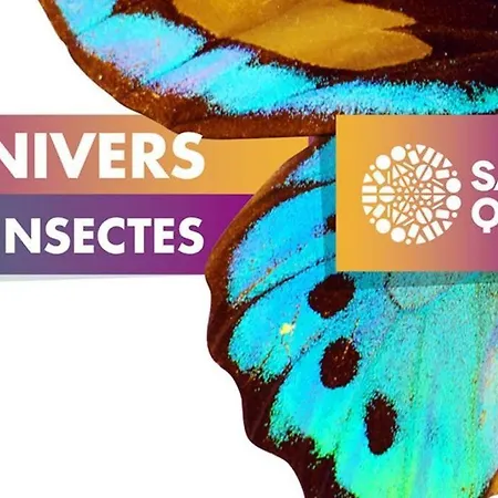 Chez François Et Véronique Appartement Hirson